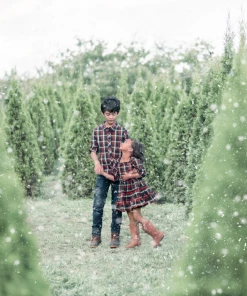 Evie's Closet Clothing Fall & Winter Perfectly Plaid Dress