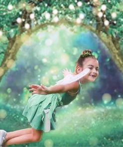 Evie's Closet Clothing Fairy Dreamer