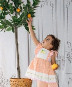 Evie's Closet Clothing Spring & Summer Lemon Love Tunic Set