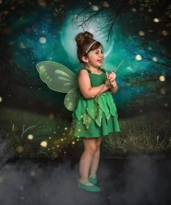 Evie's Closet Clothing Fairy Dreamer