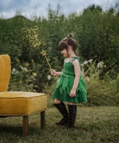 Evie's Closet Clothing Fairy Dreamer